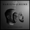 Schattenland - Single