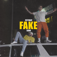 Estikay & Sido - Fake artwork