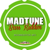 Bass Riddim (Moombahton Mix) artwork
