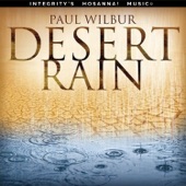 Desert Rain (Live) artwork