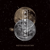 Público (En Vivo) artwork