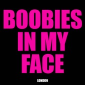 Boobies in My Face artwork