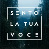 Sento la Tua voce artwork