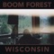 All I Have to Do Is Dream (feat. Erin Rae) - Boom Forest lyrics