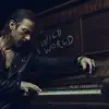 Stream & download Wild World