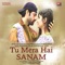 Tu Mera Hai Sanam (feat. Chandra Surya) - Altaaf Sayyed lyrics