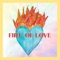 Fire Of Love artwork