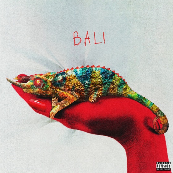 Cover artwork for Bali