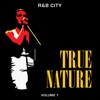 R&B City: True Nature, Vol. 1