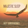 Vast Surroundings - EP