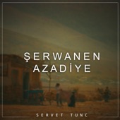 Şerwanen Azadiye artwork