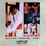 Kelvyn Boy, Mugeez & DarkoVibes - Momo (Mobile Money)