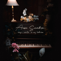 Anson Seabra - Songs I Wrote in My Bedroom artwork