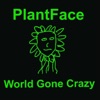 World Gone Crazy - Single