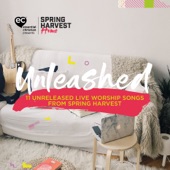 Spring Harvest Home Unleashed (Live) artwork