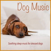 Dog Music: Soothing Sleep Music for Stressed Dogs artwork