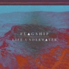 Life Underwater - Single