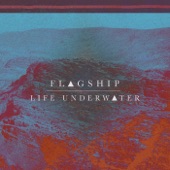 Flagship - Life Underwater