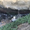 Lopes - Single