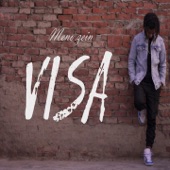 Visa artwork