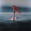 Flowerbed (S. Carey Remix) - Single