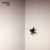 Joyero - After You