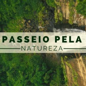 Passeio pela Natureza - 22 Canções para Limpar sua Mente, Natureza e Chuva artwork