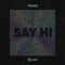 Say Hi (Extended Mix) artwork