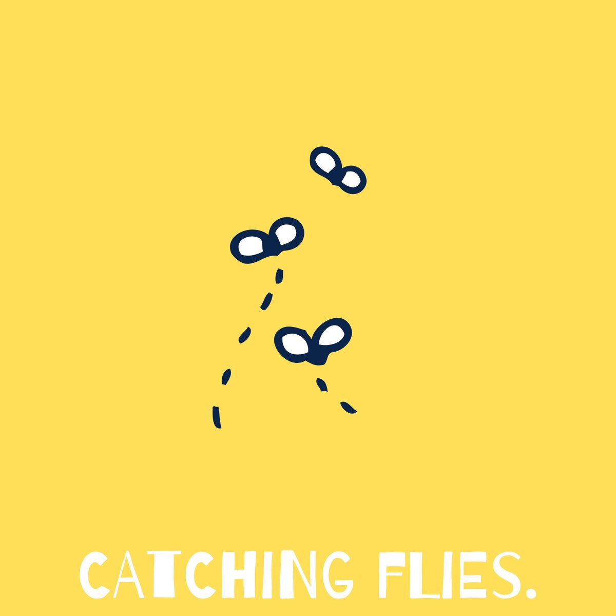 Fly catch