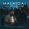 Malaigal Vilaginalum - Single