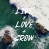 Live + Love + Grow (feat. Lumele & TIKS) [Lumele TIKS remix] - Single