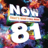 Now That's What I Call Music!, Vol. 81 artwork