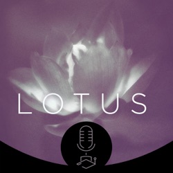 Lotus #004: Ciclicità femminile