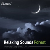 Relaxing Sounds Forest Ultimate Deep Sleep Music artwork