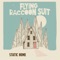 Nothing's Changed - Flying Raccoon Suit lyrics