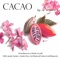 Come Away with Me (feat. Javier Nuñez) - La Boquita lyrics