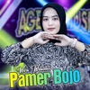 Pamer Bojo - Single