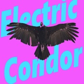 Electric Condor - Far from Here