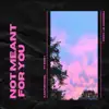 Not Meant for You - Single album lyrics, reviews, download