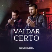 Vai Dar Certo artwork