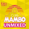 Cafe Mambo Ibiza 2012 (Unmixed DJ Format)