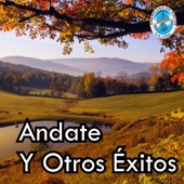 Año y Medio artwork