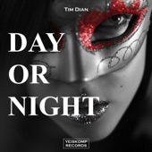Day Or Night artwork