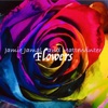 Flowers - Single