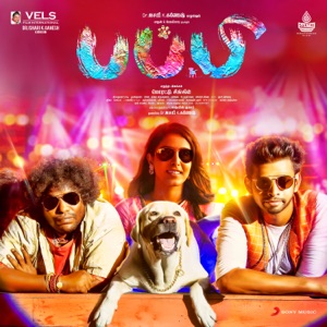 PUPPY - Anji Manikku Chords and Lyrics
