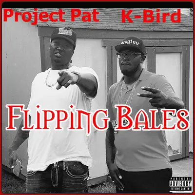 Flipping Bales - Single - Project Pat