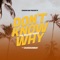 Don't Know Why (Reggae Remix) cover