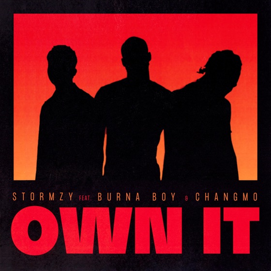 Cover artwork for Own It (feat. Burna Boy & CHANGMO)