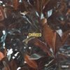 Changed - Single