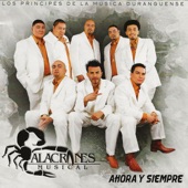 Alacranes Musical - Por Tu Amor (Duranguense)